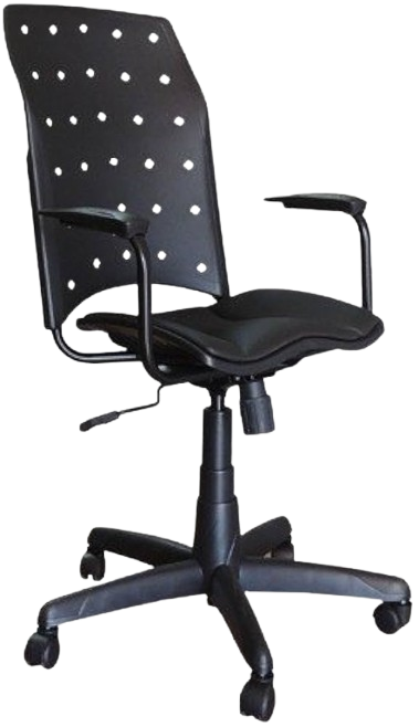 Cadeira Ergoplax Presidente